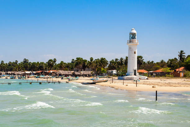 Kodaikanal Tour Packages for an Idyllic Vacation 3D/2N