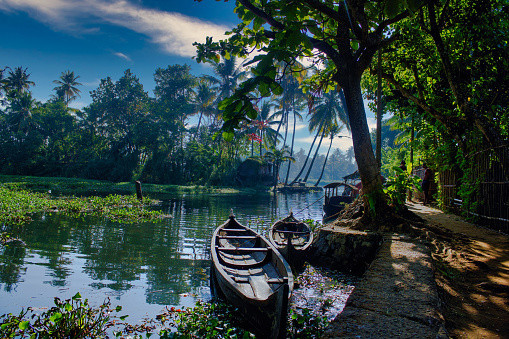 Alleppey - Munnar Kerala Package 4D/3N