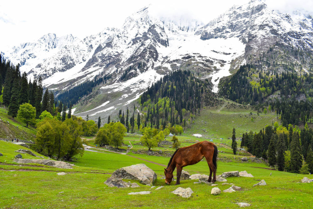 4 Nights /5 Days – Srinagar (2N) | Pahalgam (1N) | Houseboat (1N)