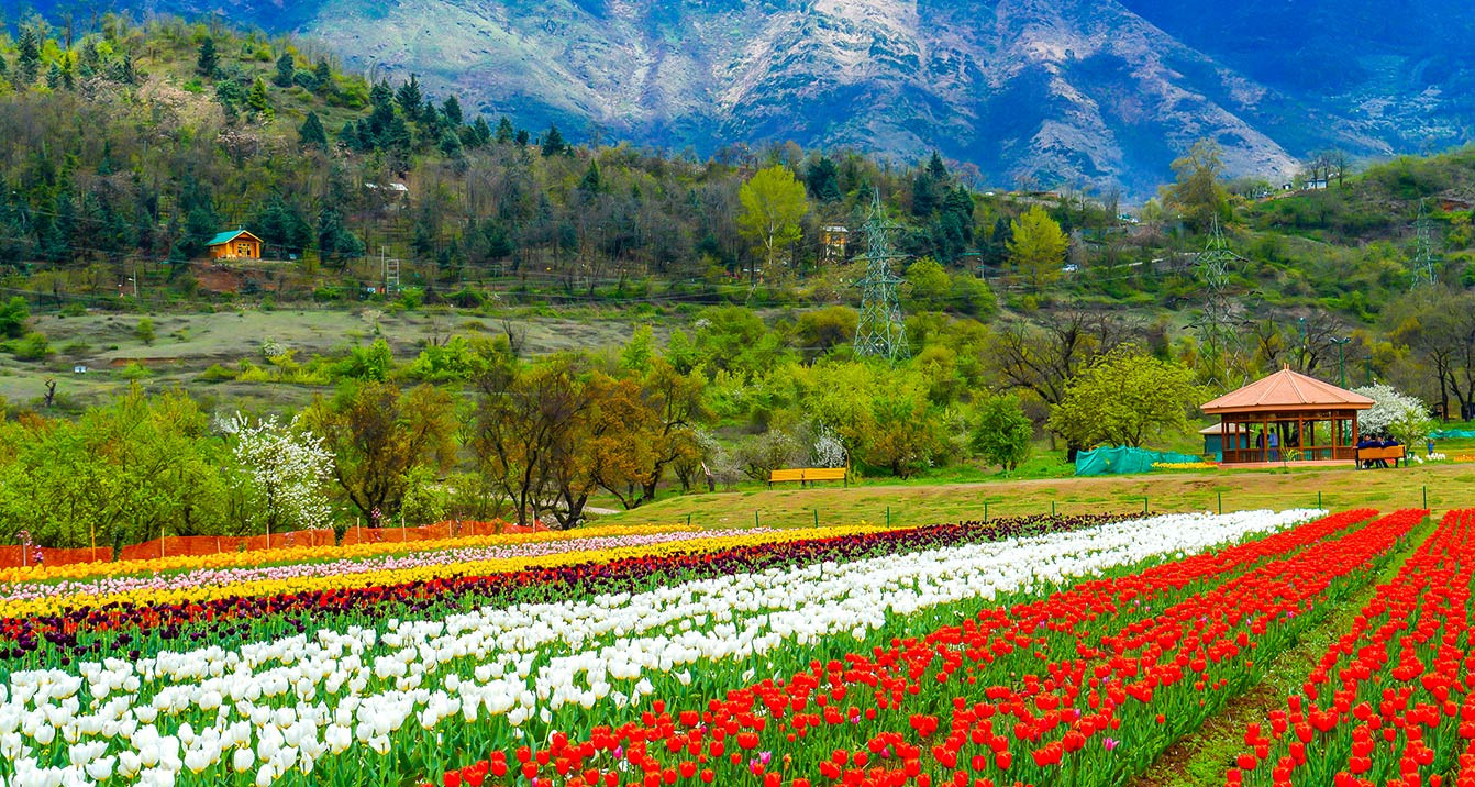 5 Nights / 6 Days –KASHMIR DELIGHT TOUR