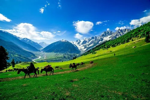 ❄️ Kashmir Valley Tour – 3 Nights / 4 Days ❄️
