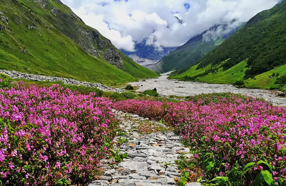 Kashmir Serenity: A 3-Day Escape